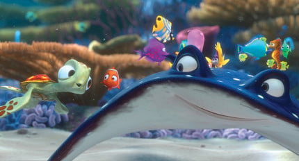 School-of-Fish_Finding-Nemo