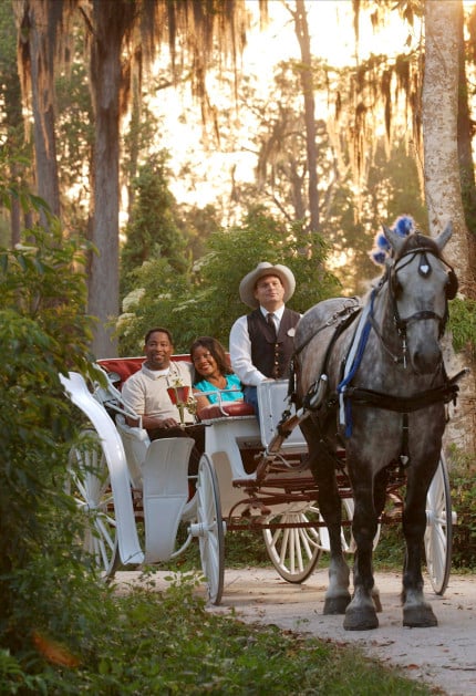 HORSE-DRAWN MAGIC -- Private, horse-drawn carriage rides are now offered nightly at Disney's Fort Wilderness Resort & Campground, one of the "home away from home"-category resorts at Walt Disney World in Lake Buena Vista, Fla.Ê Guests experience a leisurely 30-minute excursion through the secluded beauty of the Walt Disney World backwoods.Ê Guests are encouraged to make reservations up to 60 days in advance by calling 407-824-2832. carriage-001