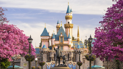 Disneyland-Castle-In-Full-Bloom
