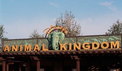Animal-Kingdom-Entrance