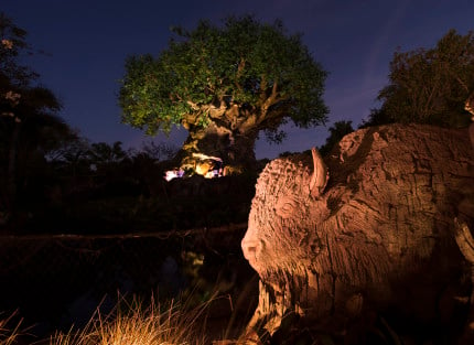 At Disney's Animal Kingdom, the park's iconic Tree of Life has grown new roots. Featuring new animals that make up the circle of life, from tiny bugs to large crocodiles, the expanded roots also offer a widened walkway for guests visiting Discovery Island. The 145-foot tall structure is covered in more than 103,000 leaves and debuted as the park's icon at the park's opening in 1998. Disney's Animal Kingdom is located at Walt Disney World Resort in Lake Buena Vista, Fla. (Todd Anderson, photographer)