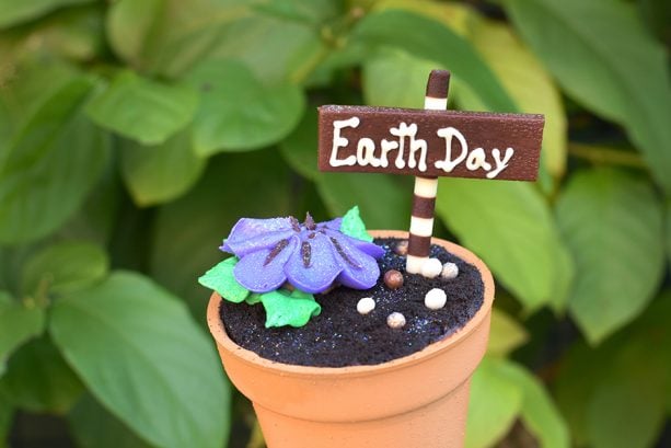 Earth Day Cupcake at Disney’s Contemporary Resort