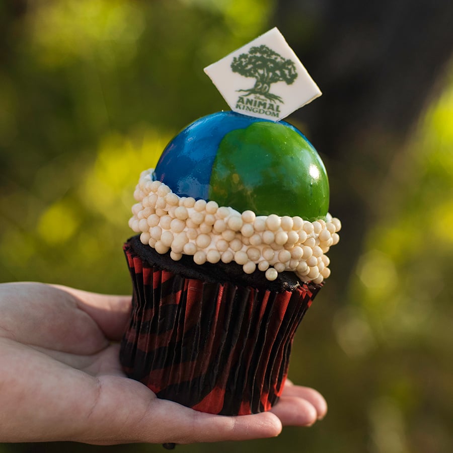 Earth Day Cupcake at Disney’s Animal Kingdom Theme Park for Party for the Planet