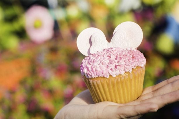 Millennial Pink Cupcake at Fountain View at Epcot