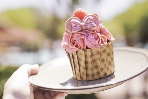 Millennial Pink Raspberry Chocolate Cupcake at The Mara at Disney’s Animal Kingdom Lodge
