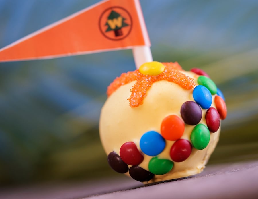 Russell Cake Pop for Pixar Fest at Candy Palace at Disneyland Park