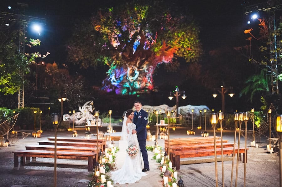 Disney's Fairy Tale Wedding at the Tree of Life