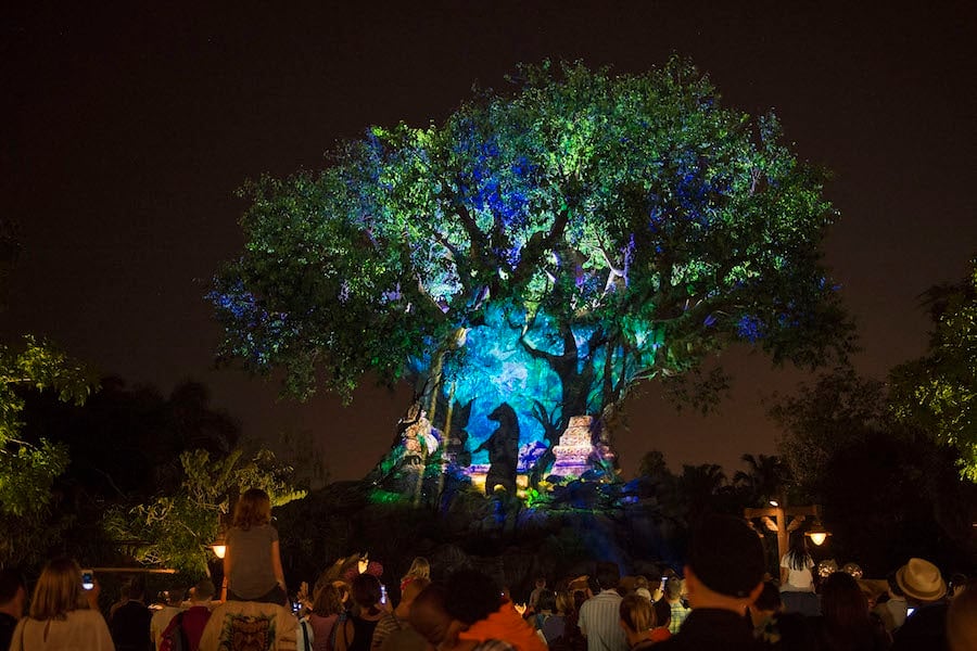 Tree of Life Awakens at Disney's Animal Kingdom at Night