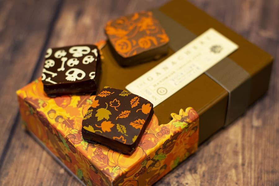 Fall Ganache Squares from The Ganachery for WonderFall Flavors at Disney Springs 2019
