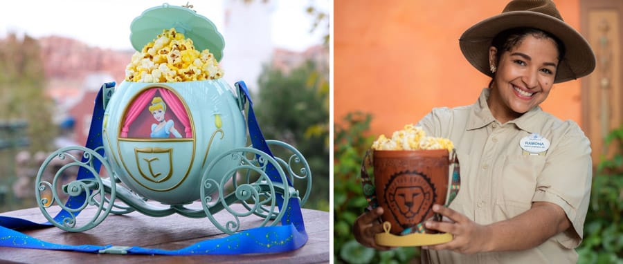 Novelty Popcorn Buckets from Disney Parks