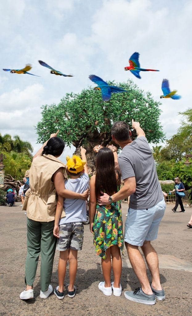Disney PhotoPass Service Magic Shot at Disney's Animal Kingdom