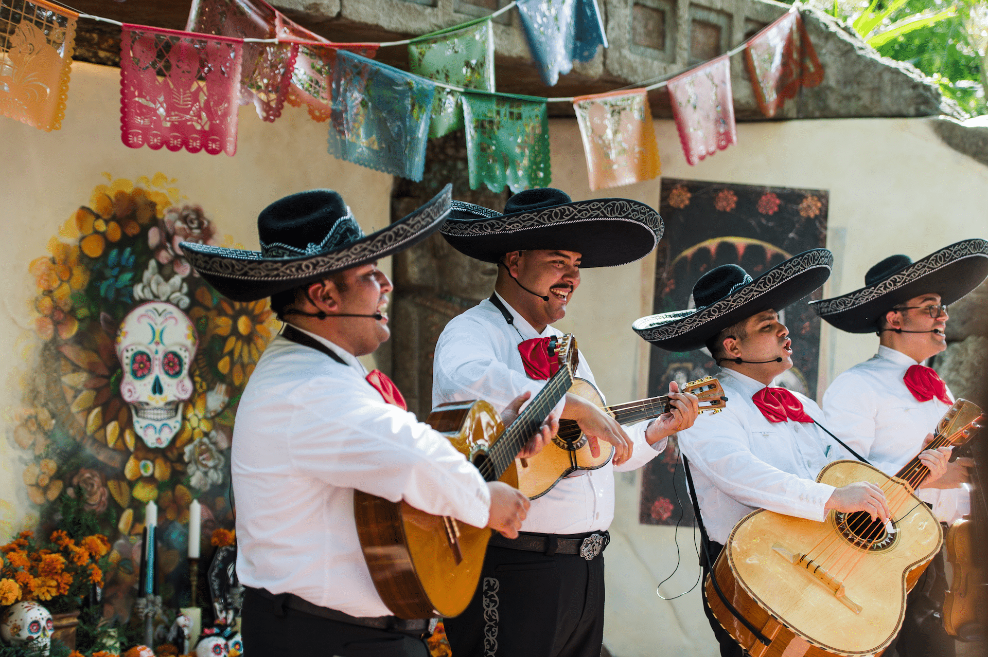 | The Main Street Mouse Mariachi Cobre