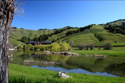 Skywalker_Ranch_Ewok_Lake-400x266