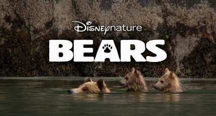 DisneyNature Bears | The Main Street Mouse