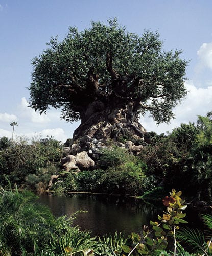 Tree of Life