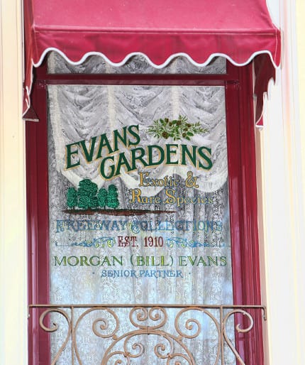 BEW079696613x733 | The Main Street Mouse Bew079696 613x733