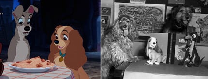 Bts lady and the tramp dinner