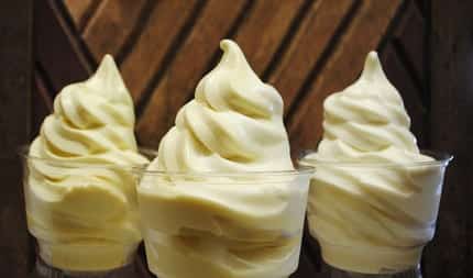 Epcot FrozenYogurt 5 28