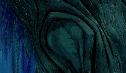 Grandmother willow appears in the tree
