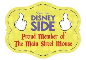 disneysidetmsm