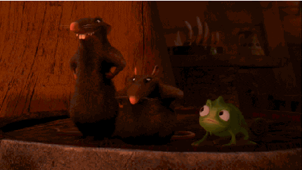 Pascal-with-Rats-Tangled