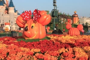 dlp