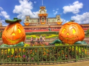 pumpkins