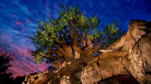 tree of life gallery01