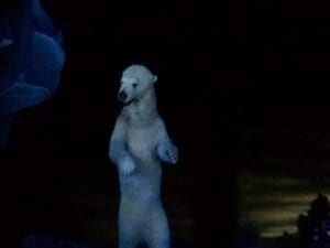 malbear