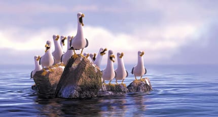 Finding-Nemo-Facts-Seagulls