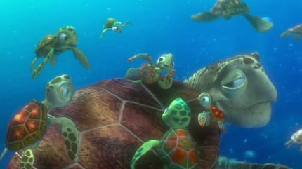 Finding-Nemo-Facts-Turtles
