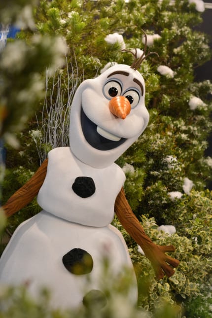 Frozen-Fun-at-Disneyland-Olaf