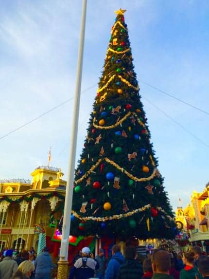 Tree at MK