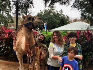 camel