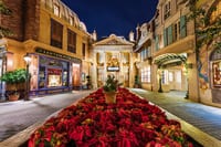 france christmas poinsettias nightsmall
