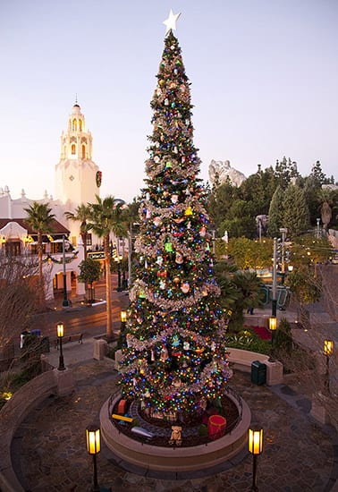 Holiday decor DCA