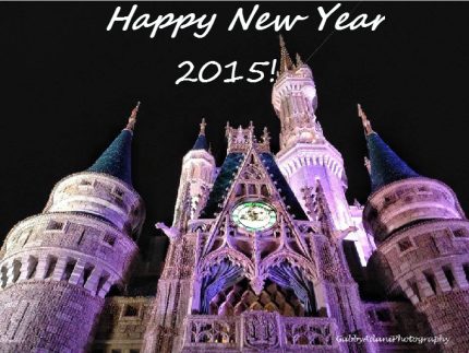 HNY 2015 | The Main Street Mouse