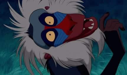 rafiki lion king teddy