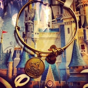 Braceletdhs