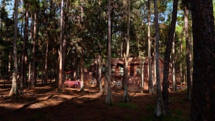 cabins-at-fort-wilderness-resort-gallery01