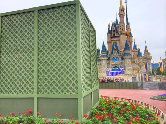 hubb2 | The Main Street Mouse