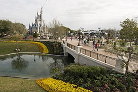 Hub 2 | The Main Street Mouse 2a