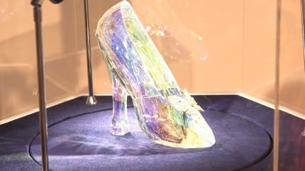 Cinderella Shoe