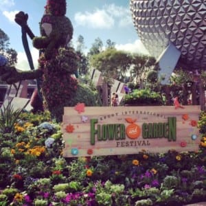 flowergarden