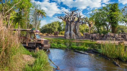 DAK-Staff-Picks-kilimanjaro-safaris