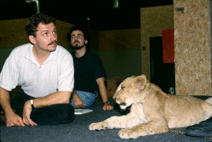 Lion King Research Photography 2