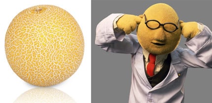 Bunsen-Honeydew