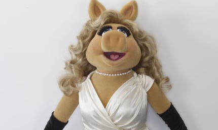 Piggy 43270 v2 1200x715