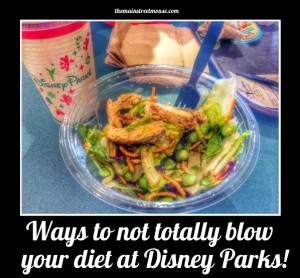 blowdiet | The Main Street Mouse