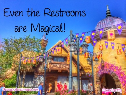 5nXenp1430865478 | The Main Street Mouse